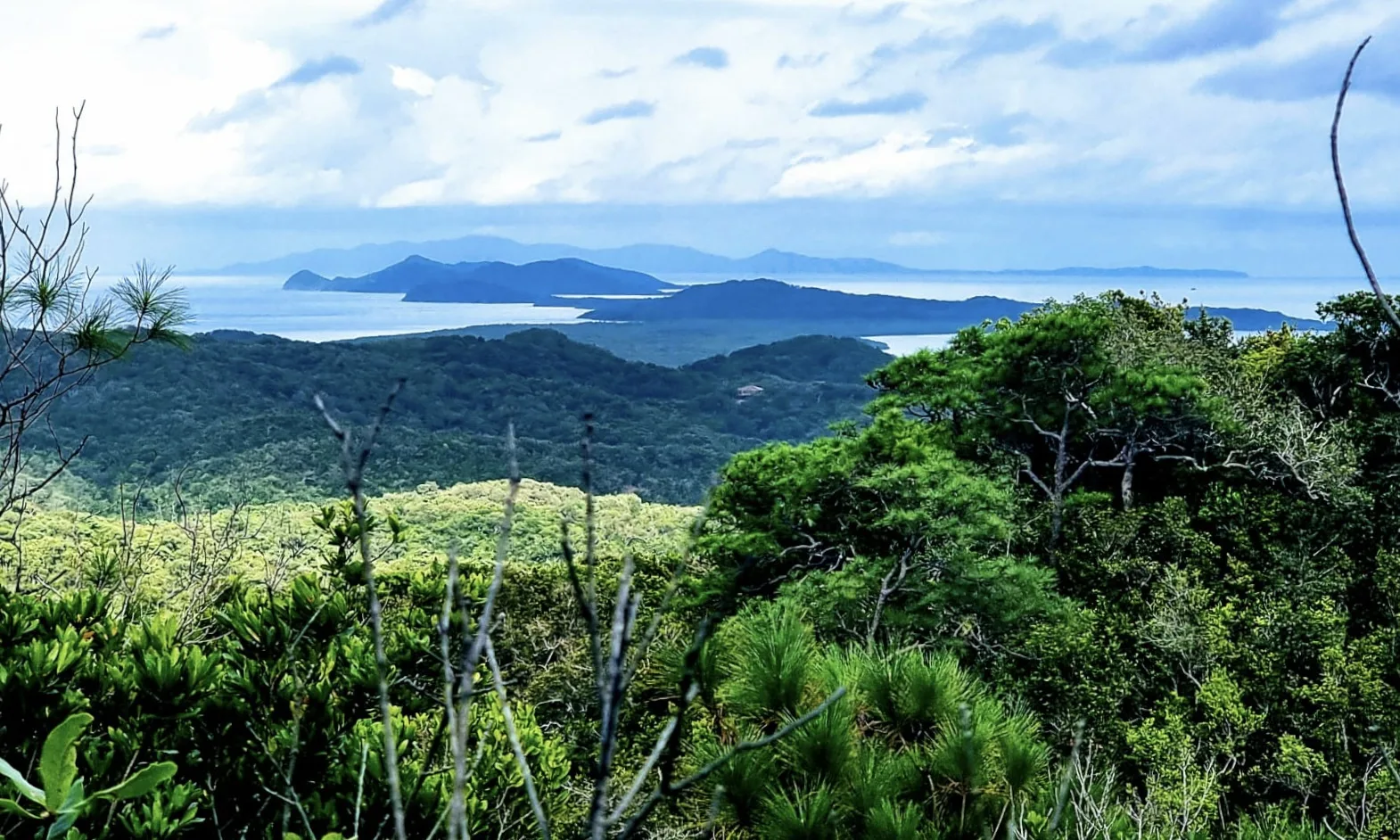 Things to do in Camp Bay - Hiking at Port Royal National Park